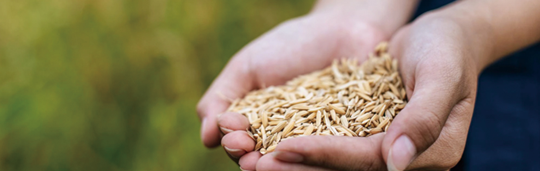 Food Industry Product Solutions